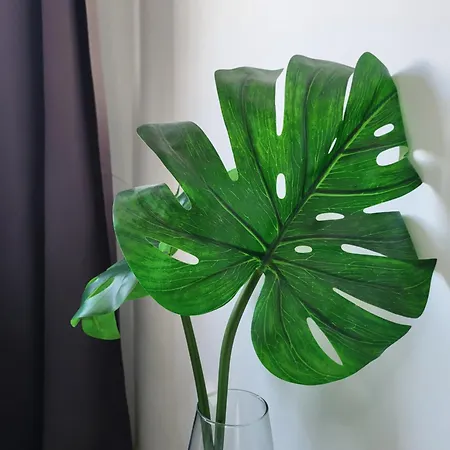 Mar Y Sol Coral Dream Los Cristianos (Tenerife)