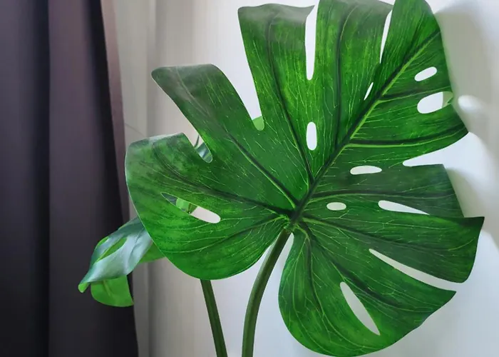 Mar Y Sol Coral Dream Los Cristianos (Tenerife)